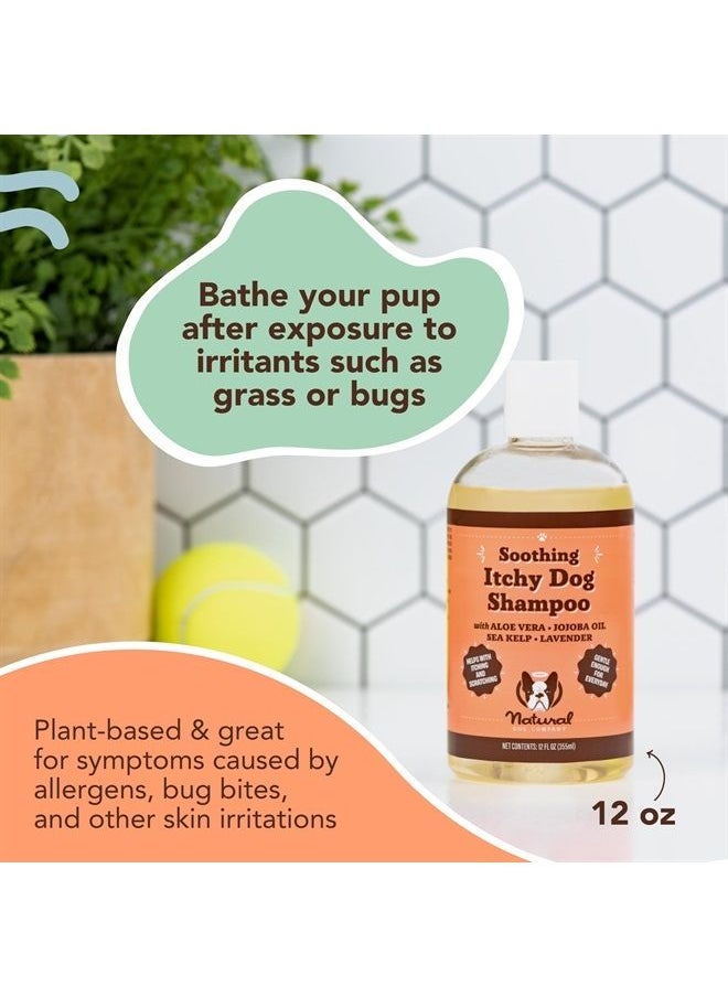 Natural Dog Company - Itchy Dog Shampoo, 12 oz., Dog Dry Skin Treatment, Dog Itch Relief, Hypoallergenic, Plant Based Ingredients, Deodorizing Dog Shampoo, Relief from Skin Allergy Symptoms - Image 1