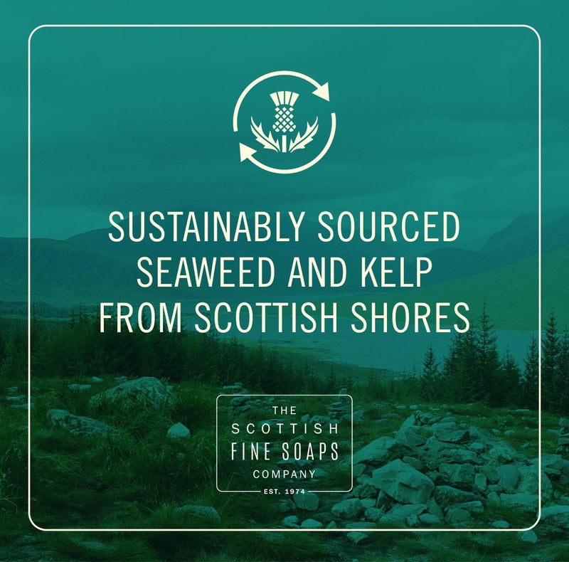 Scottish Fine Soaps Sea Kelp Marine Hand Wash 300ml Pump - Image 3