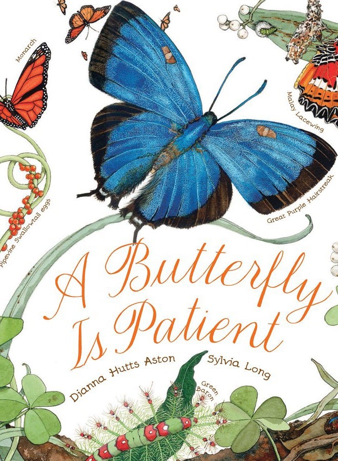A Butterfly Is Patient