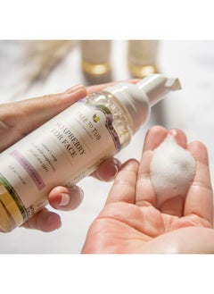 Tree to Tub Tree To Tub, Soapberry Gentle Foaming Face Wash Cleanser, Moisturizing, pH Balanced for Dry, Sensitive Skin, Lavender, 4 fl oz (120 ml)  - Image 4