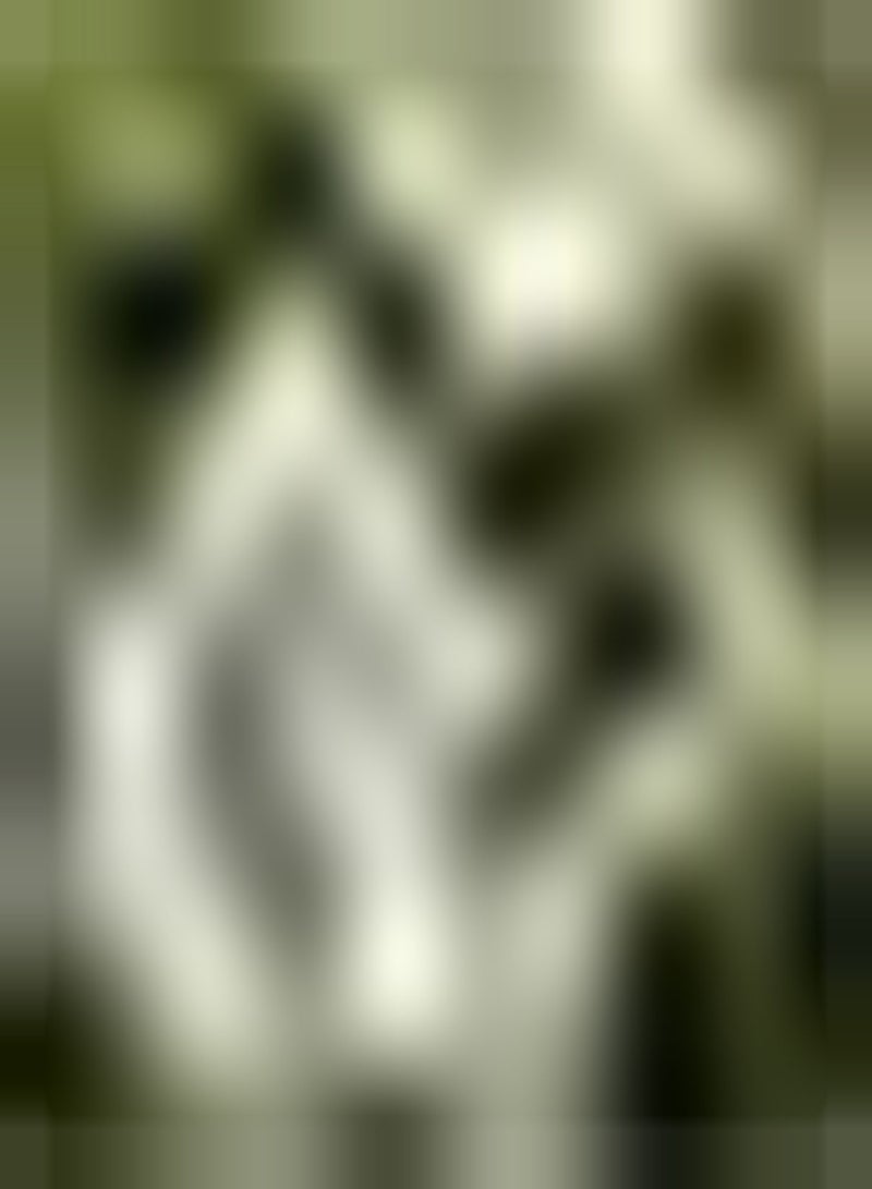 جي جوت 50 قطعة من بذور البطيخ الشتوي/القرع الشمعي، خضروات خضراء لا غنى عنها في الحياة اليومية، لا تتطلب الكثير من العناية، ولا تلتزم بمتطلبات التربة بشكل صارم - Image 2