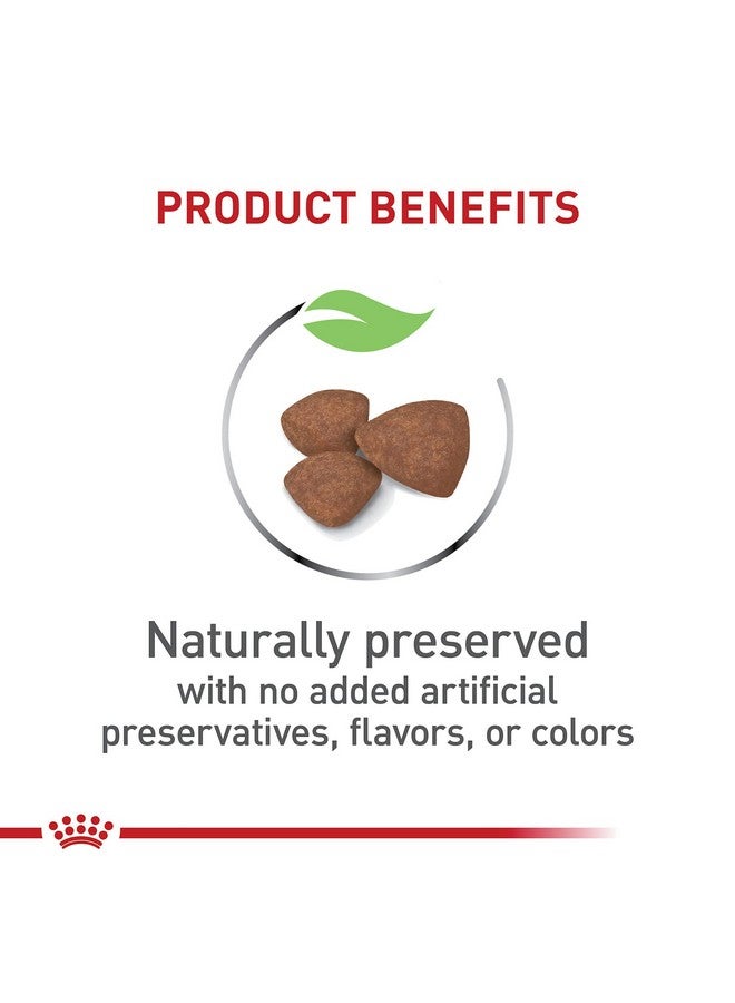 Royal Canin Size Health Nutrition Small Puppy Dry Dog Food, 2.5 lb bag - Image 3