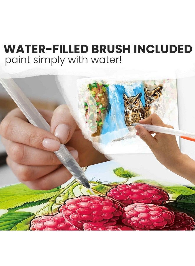 QUOKKA 10PACK Dementia Activities for Seniors - Water Painting Alzheimers Products for Elderly - Reusable Activity Kits for Dementia Patients - Forest Moments Relaxing Set - Image 2