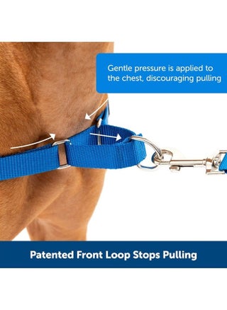 Easy Walk No-Pull Dog Harness - The Ultimate Harness to Help Stop Pulling - Take Control & Teach Better Leash Manners - Helps Prevent Pets Pulling on Walks - Medium, Royal Blue/Navy Blue - pzsku/ZB79D65F874201EE6B070Z/45/_/1687616255/f68b18cc-2cde-404e-a00d-24c277b3eb98
