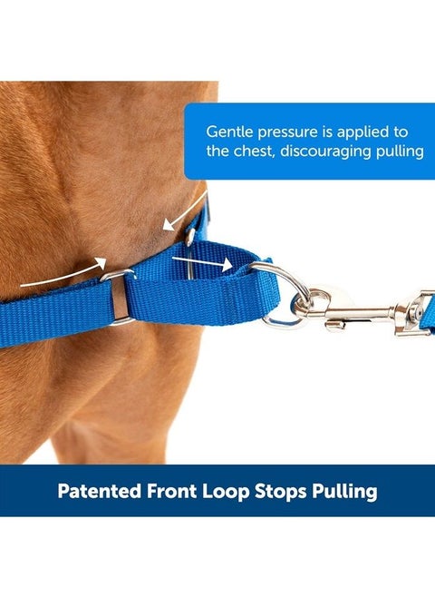 Easy Walk No-Pull Dog Harness - The Ultimate Harness to Help Stop Pulling - Take Control & Teach Better Leash Manners - Helps Prevent Pets Pulling on Walks - Medium, Royal Blue/Navy Blue