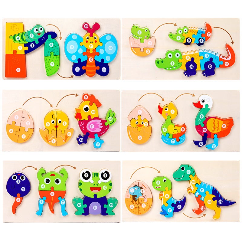 Baby Baby 3 Stereo Puzzle Children'S Growth Evolution Puzzle Kindergarten Educational Early Education Wooden Toys - Image 2