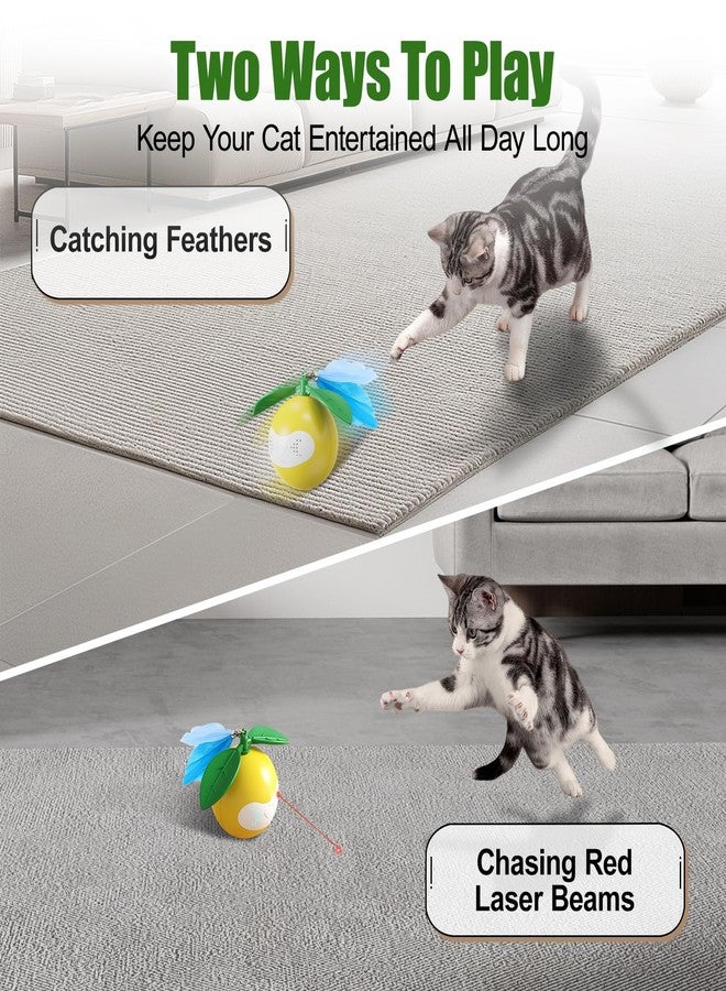 TVM Interactive Cat Toy for Indoor Cats, Automatic Moving Ball Toy Suitable for Indoor Adult Cats and Kittens Suitable for All Cat Breeds Fast Rolling Motion Sensor Light-up Effect - Image 5