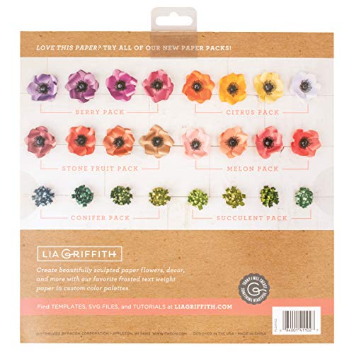 Lia Griffith Frosted Craft Paper, 12" x 12", Citrus Pack 20 Sheets - Image 2