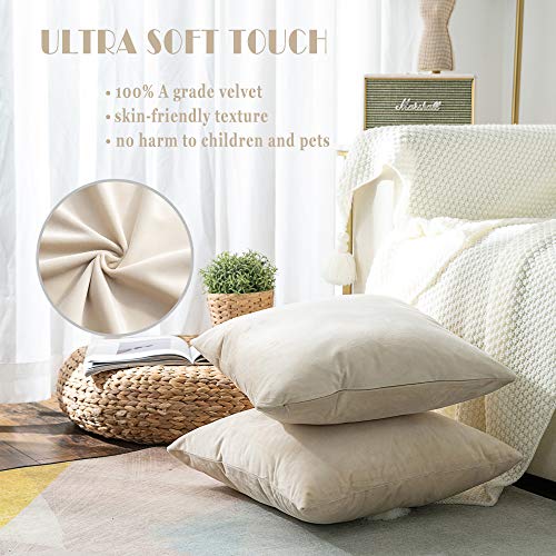 Stellhome Pack of 2 Velvet Pillow Covers Square Big Decorative Cushion Covers for Bed Couch Sofa Bench 24 x 24 inch 60 x 60 cm Beige - Image 3
