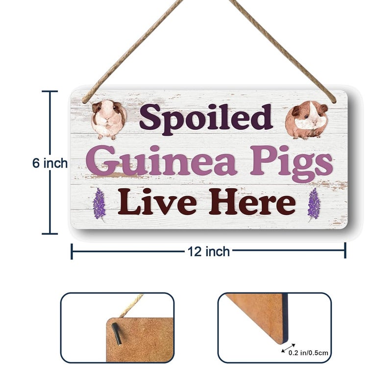 Yoecod Big Hamster Ball & Guinea Pig Hideout - Stuffed Animals & Accessories for Guinea Pig Cage - 12x6 In Wooden Sign - Image 2