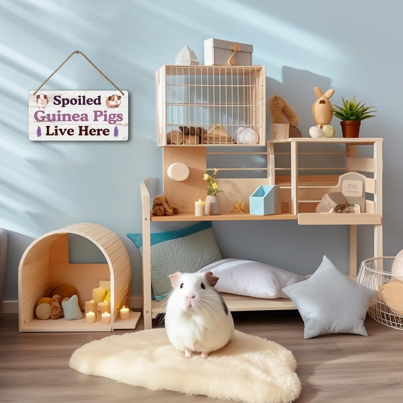 Yoecod Big Hamster Ball & Guinea Pig Hideout - Stuffed Animals & Accessories for Guinea Pig Cage - 12x6 In Wooden Sign - Image 5