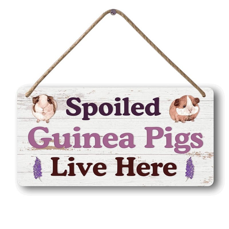 Yoecod Big Hamster Ball & Guinea Pig Hideout - Stuffed Animals & Accessories for Guinea Pig Cage - 12x6 In Wooden Sign - Image 1