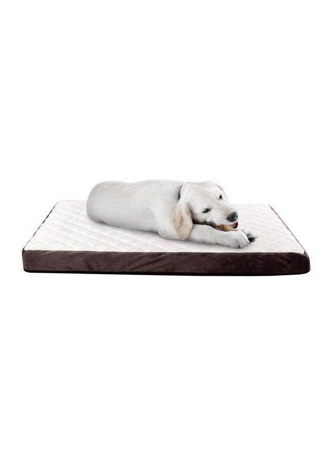 PETMAKER Dog Bed - Charcoal Infused Foam Pet Bed with Plush Cover - Egg-Crate Style Floor Mat with Nonslip Base for Dogs up to 65lbs by PETMAKER (Brown) - Image 1