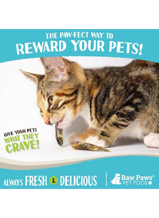 Raw Paws Smelt Freeze Dried Minnows For Cats & Dogs, 2Oz  Minnows For Dogs  Freeze Dried Cat Treats  Fish Dog Treats  Freeze Dried Minnows For Dogs  Freeze Dried Fish Cat Treats, Cat Fish Treats - Image 5