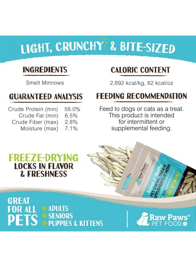 Raw Paws Smelt Freeze Dried Minnows For Cats & Dogs, 2Oz  Minnows For Dogs  Freeze Dried Cat Treats  Fish Dog Treats  Freeze Dried Minnows For Dogs  Freeze Dried Fish Cat Treats, Cat Fish Treats - Image 3