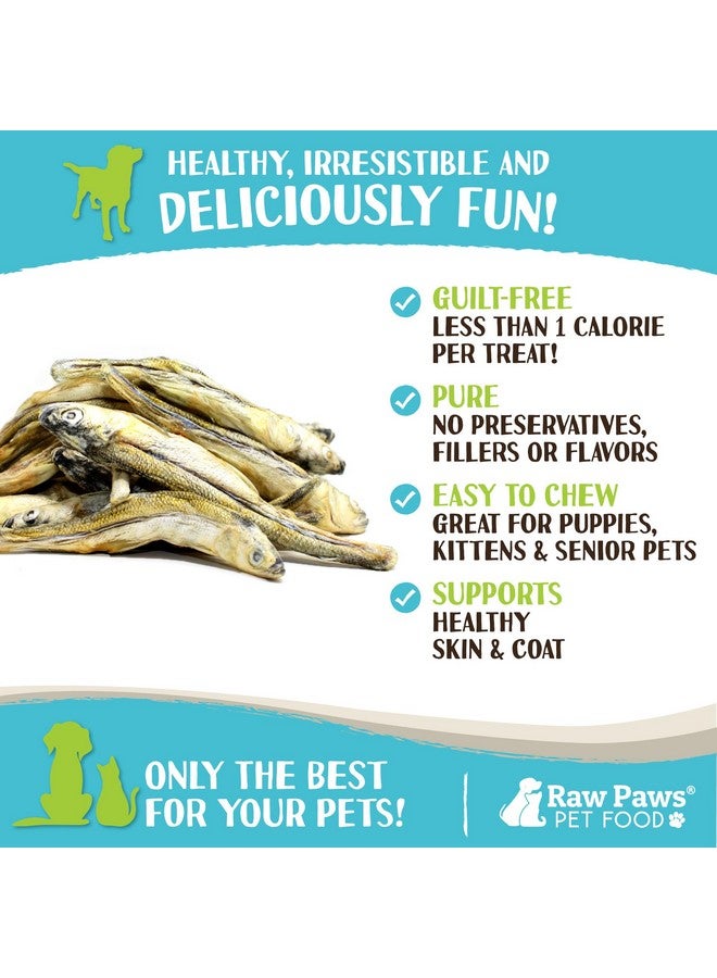 Raw Paws Smelt Freeze Dried Minnows For Cats & Dogs, 2Oz  Minnows For Dogs  Freeze Dried Cat Treats  Fish Dog Treats  Freeze Dried Minnows For Dogs  Freeze Dried Fish Cat Treats, Cat Fish Treats - Image 4