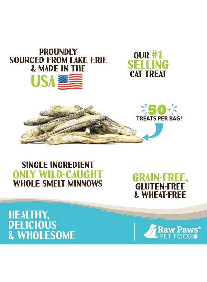Raw Paws Smelt Freeze Dried Minnows For Cats & Dogs, 2Oz  Minnows For Dogs  Freeze Dried Cat Treats  Fish Dog Treats  Freeze Dried Minnows For Dogs  Freeze Dried Fish Cat Treats, Cat Fish Treats - Image 2