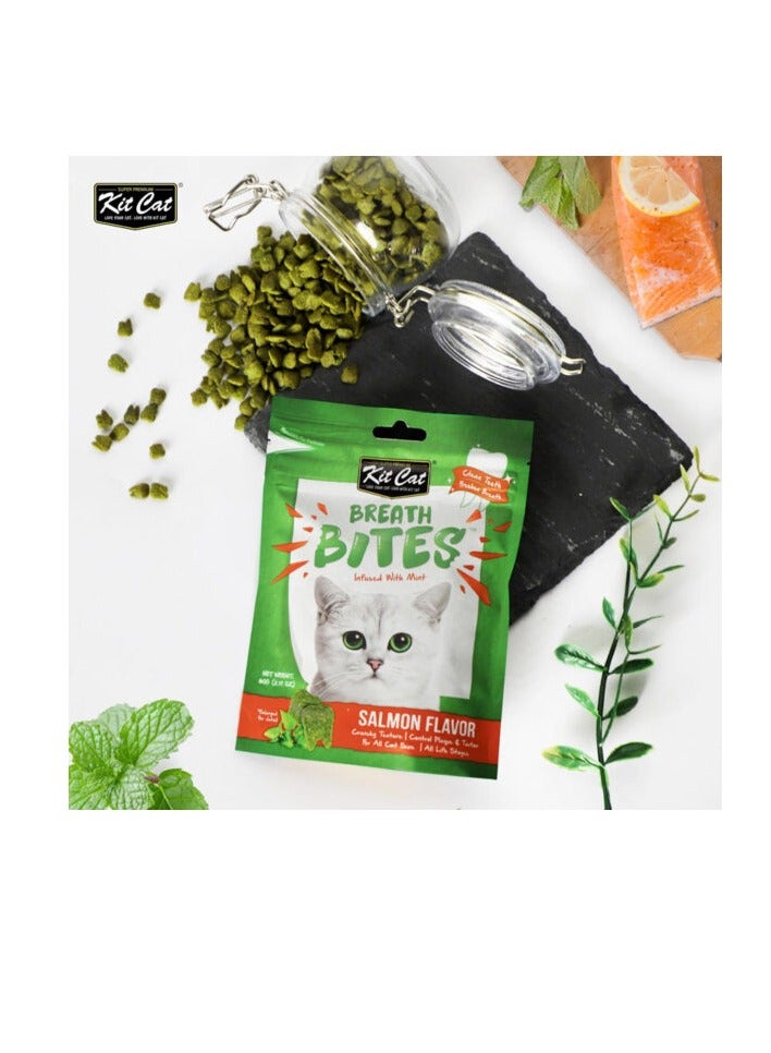 Kit Cat Breath Bites Salmon Flavor 60g - Image 2
