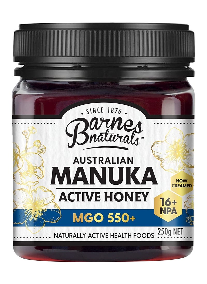Manuka Honey Barnes Naturals Australian manuka Active Honey Mgo-550 250g  - Image 1
