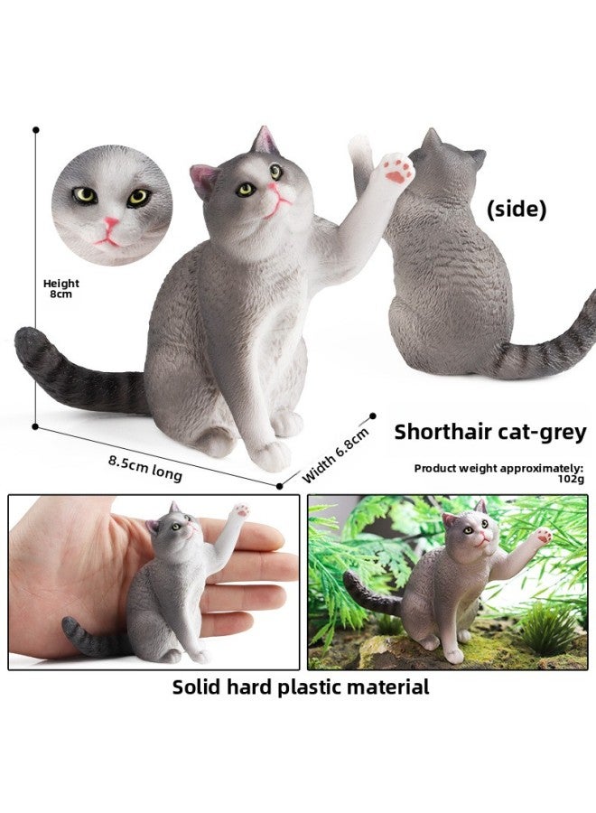 Children's Simulation Animal Model Toy Plastic Cognitive Solid Domestic Cat Pet Cat Puppet Puppet Scene Ornaments Hand-held-Color:M-3154 British Shohair (gray) - Image 1