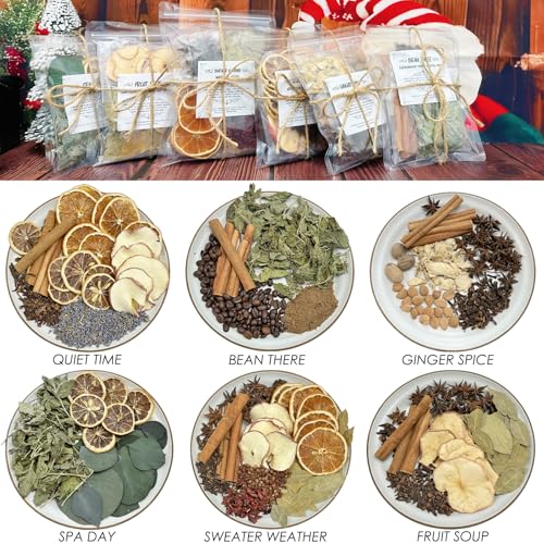 Pextian Potpourri Simmering, Set of 6 Stovetop Potpourri: Quiet Time, Spa Day, Ginger Spice, Fruit Soup, Bean There, Sweater Weather, Simmer Pot Ingredients for Home Fragrance, Housewarming, Hostess Gift - Image 2