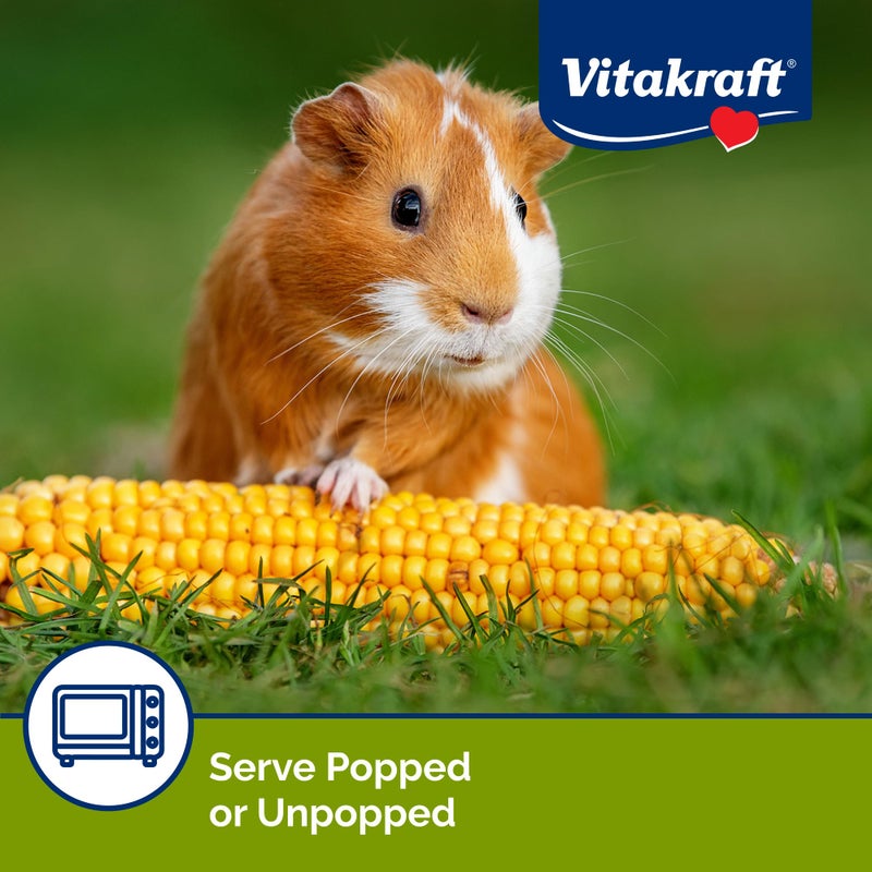Vitakraft Mini Pops Treat for Small Animals - 100% Real Corn Cob - Supports Healthy Teeth - 6 oz - Image 5