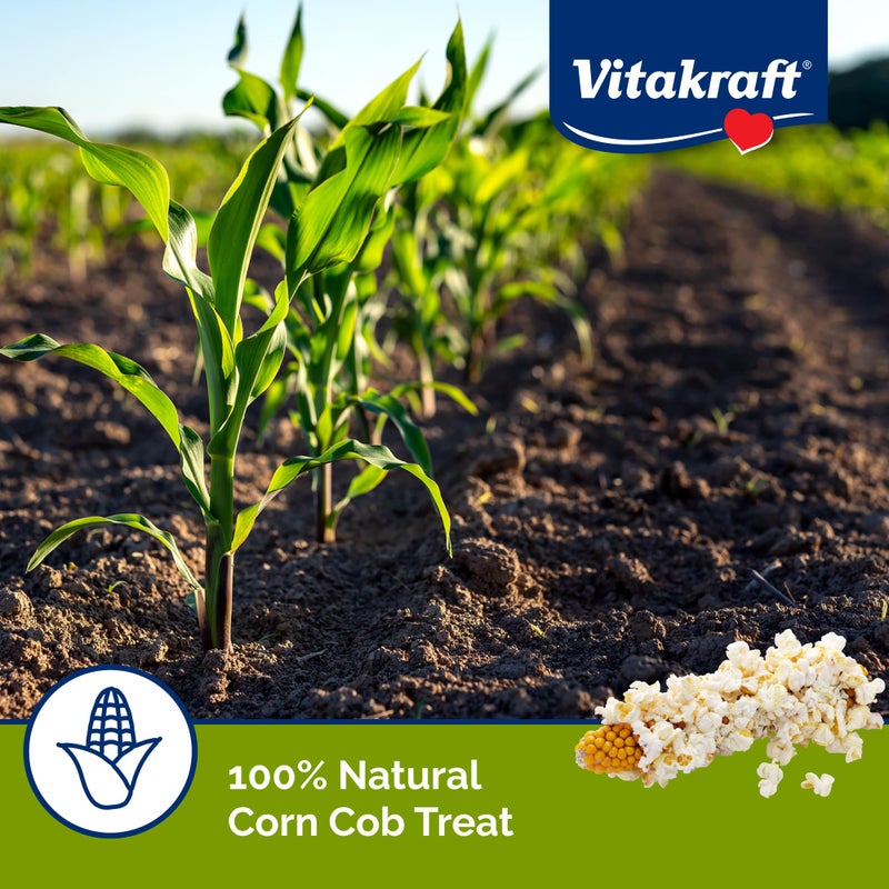 Vitakraft Mini Pops Treat for Small Animals - 100% Real Corn Cob - Supports Healthy Teeth - 6 oz - Image 4