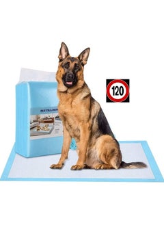 Cherry Medical Supply 120-Pieces Packed In 12 Pouches 60 Cm X 90 Cm Xl Pet Training Pads Puppy Pads Super Absorbent  - Image 1