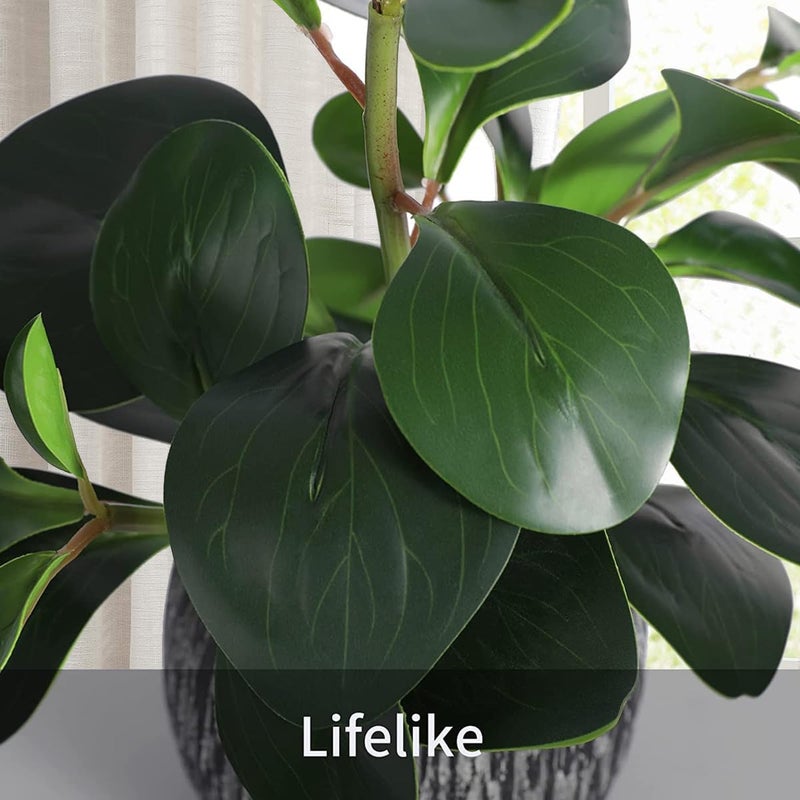 Angju Artificial Potted Plants, Real Looking Fiddle Leaf Fake Plant with Pot, Plastic Watercress Leaves Small Faux Trees with Cement Planter, Greenery Plant Table Decor for Home Indoor - Image 3