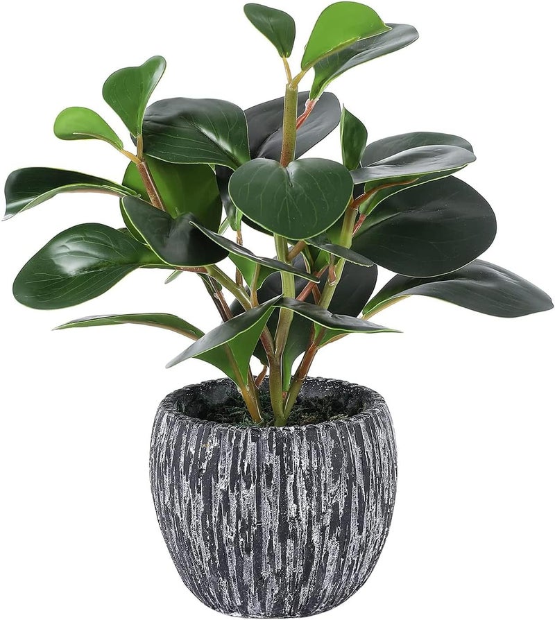 Angju Artificial Potted Plants, Real Looking Fiddle Leaf Fake Plant with Pot, Plastic Watercress Leaves Small Faux Trees with Cement Planter, Greenery Plant Table Decor for Home Indoor - Image 1