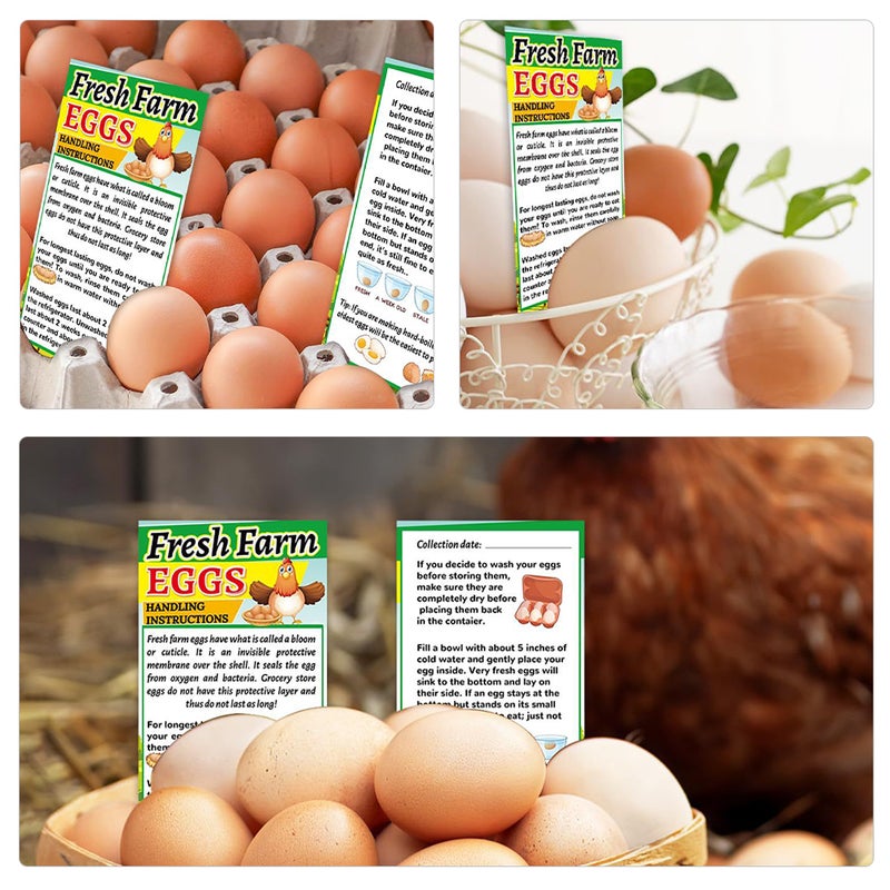250pcs Farm Handling Cards Chicken Eggs Handling Instructions - Image 2