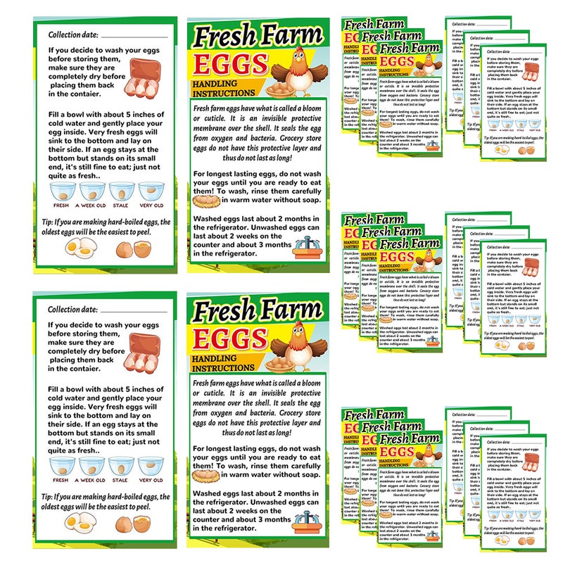 250pcs Farm Handling Cards Chicken Eggs Handling Instructions - Image 1