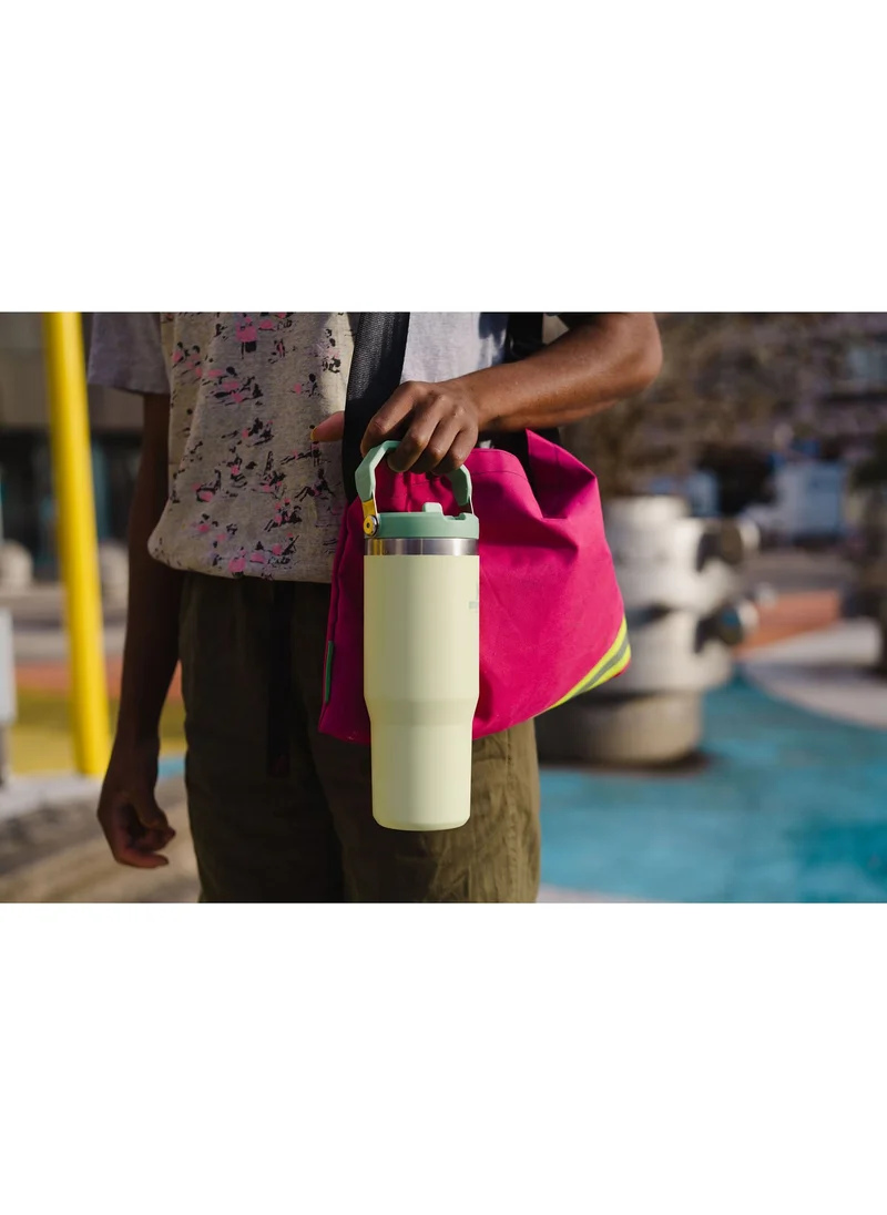ستانلي The IceFlow Flip Straw Thermos Cup with Straw 0.89 LT