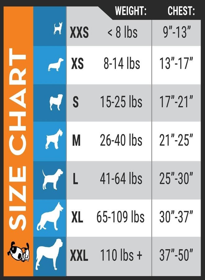 ثاندر شيرت قميص ثاندرشيرت رمادي للكلاب مقاس XXS - Image 3