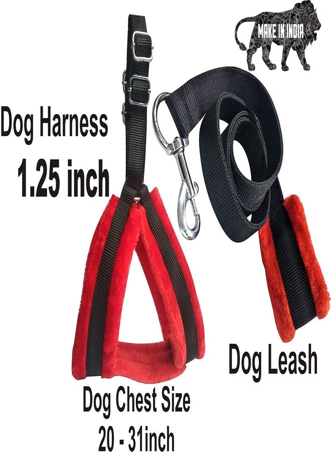 Mom's Aura Adjustable No-Pull Dog Harness, Collar and Leash Set for Small Medium Dogs, Puppies and Cats, Soft Mesh Padded Reflective Chest Strap for Walking (Black-Red, Large (3 Piece Set)) - Image 2