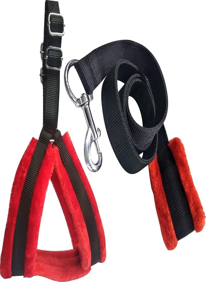 Mom's Aura Adjustable No-Pull Dog Harness, Collar and Leash Set for Small Medium Dogs, Puppies and Cats, Soft Mesh Padded Reflective Chest Strap for Walking (Black-Red, Large (3 Piece Set)) - Image 1
