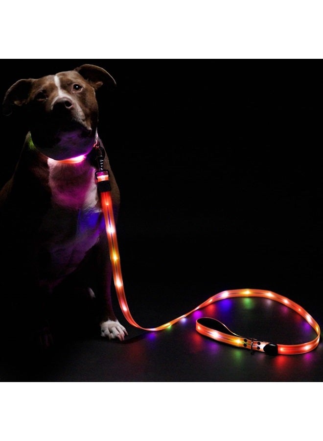 LIGHTACCENTS LED Dog Leash for Safe & Peaceful Evening Walks - High Visibility Light Up Dog Leash LED - Lighted Dog Leash for Night Walking - Light Up Leash - Dog Leash with LED Light - 6 Foot Dog Leash with Light - Image 1