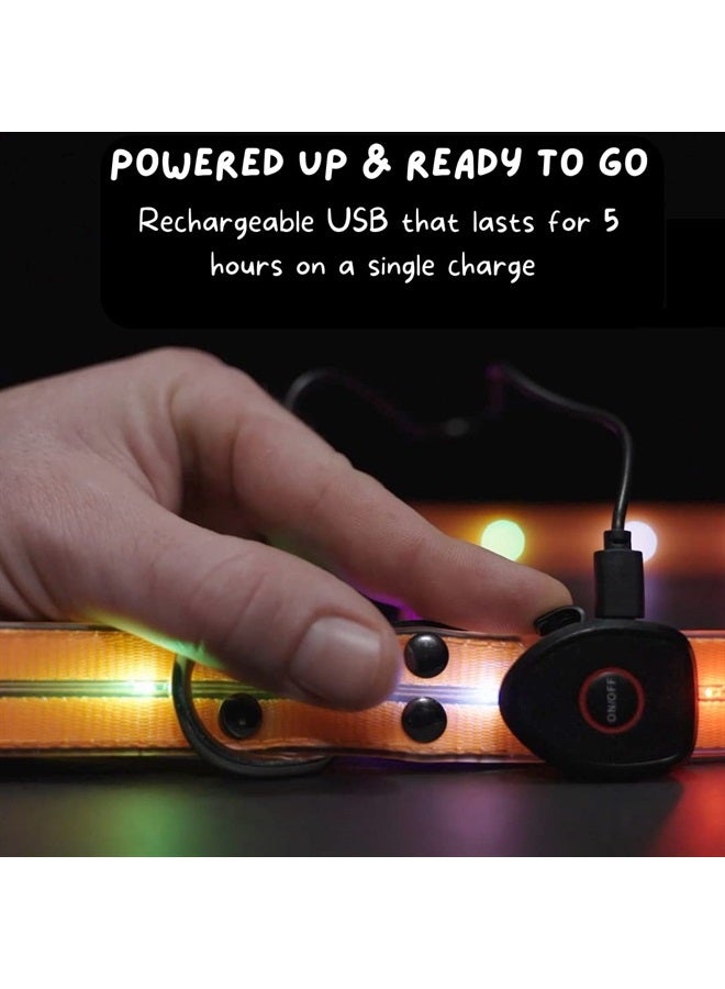 LIGHTACCENTS LED Dog Leash for Safe & Peaceful Evening Walks - High Visibility Light Up Dog Leash LED - Lighted Dog Leash for Night Walking - Light Up Leash - Dog Leash with LED Light - 6 Foot Dog Leash with Light - Image 4