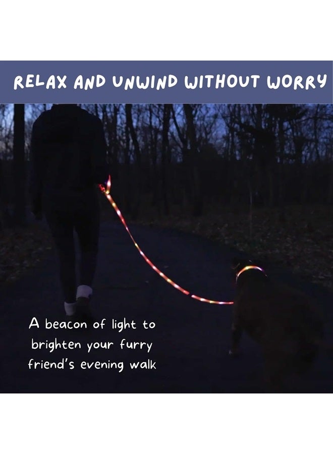 LIGHTACCENTS LED Dog Leash for Safe & Peaceful Evening Walks - High Visibility Light Up Dog Leash LED - Lighted Dog Leash for Night Walking - Light Up Leash - Dog Leash with LED Light - 6 Foot Dog Leash with Light - Image 2