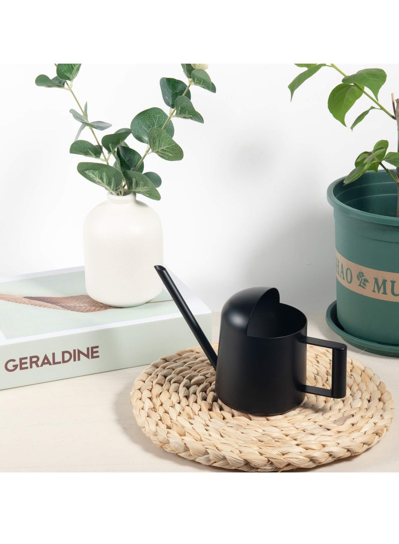 SYOSI Stainless Steel Mini Watering Can - 11oz 300ml Small Watering Can for Indoor Plants - Image 5