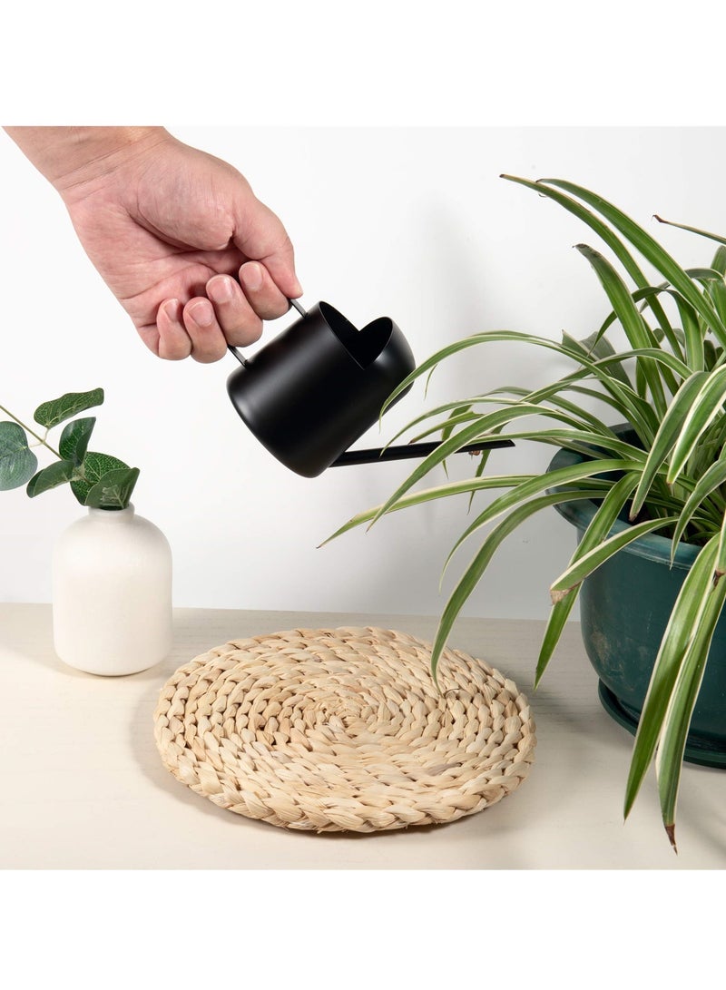 SYOSI Stainless Steel Mini Watering Can - 11oz 300ml Small Watering Can for Indoor Plants - Image 4