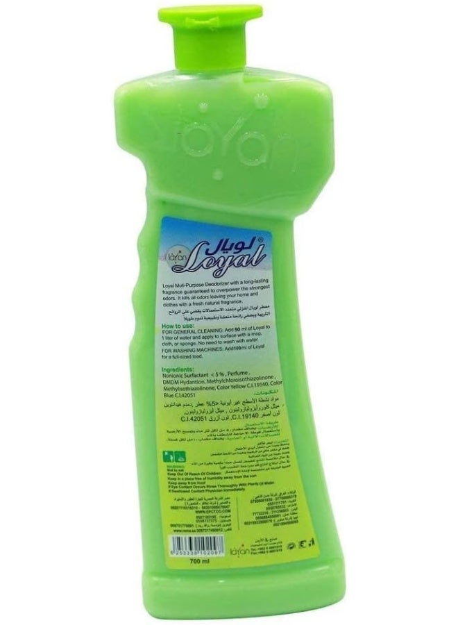loyal LOYAL Concentrated Household Deodorizer, Floor Cleaning, Spring Flowers - Image 2