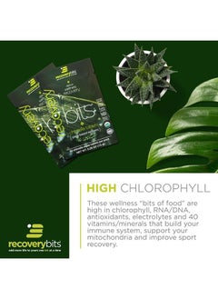 ENERGYBITS RECOVERYbits Organic Chlorella Algae Tablets, Superfood, Pure Green Algae, High Protein and Fiber, Chlorophyll, Cracked Cell Wall Non-Irradiated, for Immune Boosting and Detox, Non-GMO, 900 Tablets  - Image 2