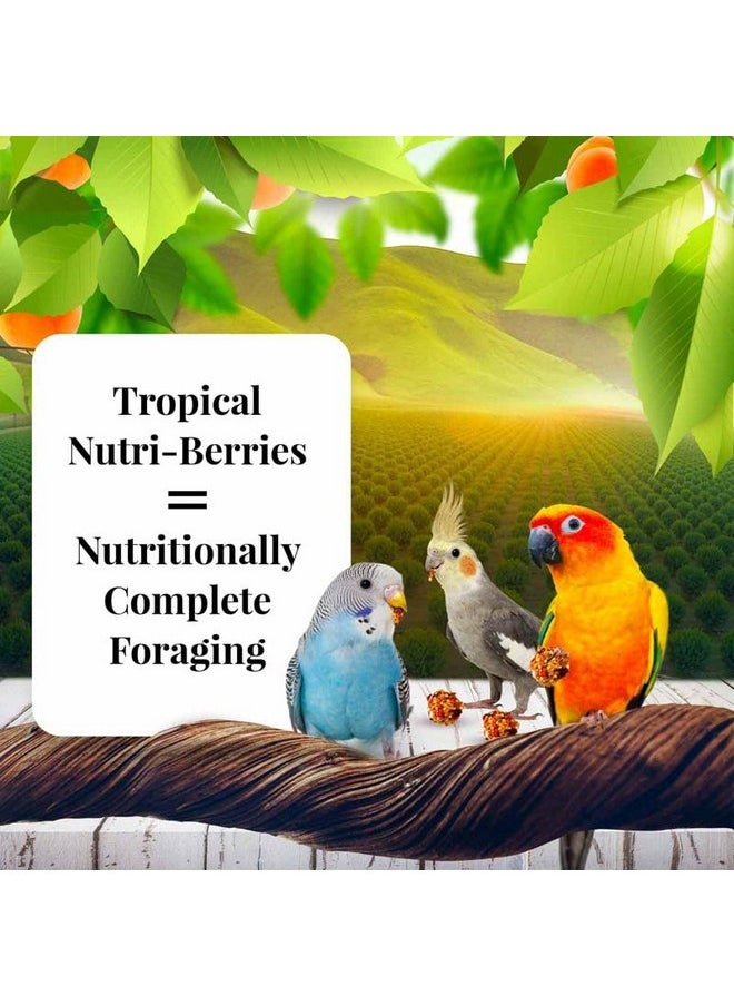 لافيبيرز طعام الطيور الأليفة Nutri-Berries من LAFEBER'S Sunny Orchard، مصنوع من مكونات غير معدلة وراثيًا ومناسبة للبشر، للطيور الكوكتيل والكونيور والببغاوات (البادجي) والطيور العاشقة (عبوة من قطعتين من Sunny Orchard، 10 أونصات)  - Image 2