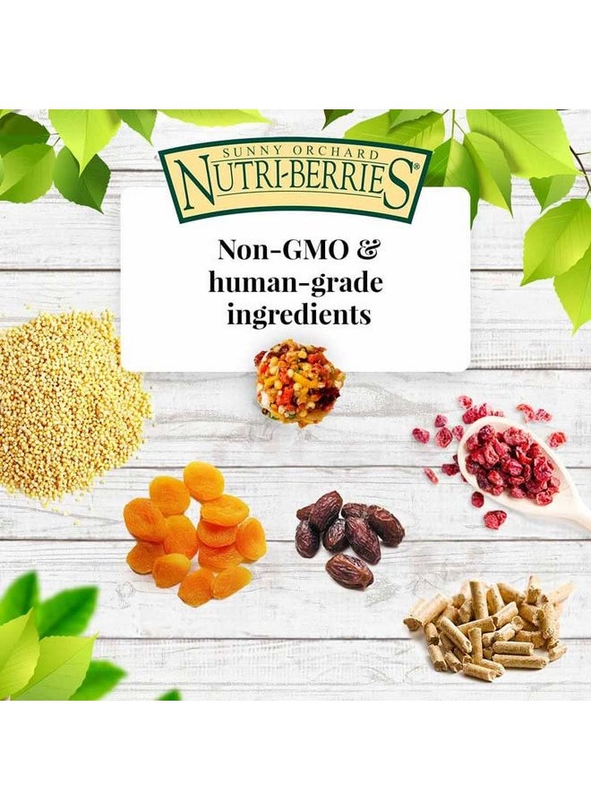 لافيبيرز طعام الطيور الأليفة Nutri-Berries من LAFEBER'S Sunny Orchard، مصنوع من مكونات غير معدلة وراثيًا ومناسبة للبشر، للطيور الكوكتيل والكونيور والببغاوات (البادجي) والطيور العاشقة (عبوة من قطعتين من Sunny Orchard، 10 أونصات)  - Image 4