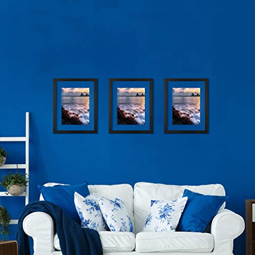 ONE WALL 16x20 Inch Floating Frame, Black Wood Double Glass Float Picture Frame Display 16x20/11x14 Inch Photos or Plant or Petal Specimens for Wall Hanging - Mounting Accessories Included - Image 5
