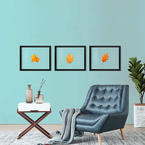 ONE WALL 16x20 Inch Floating Frame, Black Wood Double Glass Float Picture Frame Display 16x20/11x14 Inch Photos or Plant or Petal Specimens for Wall Hanging - Mounting Accessories Included - Image 4