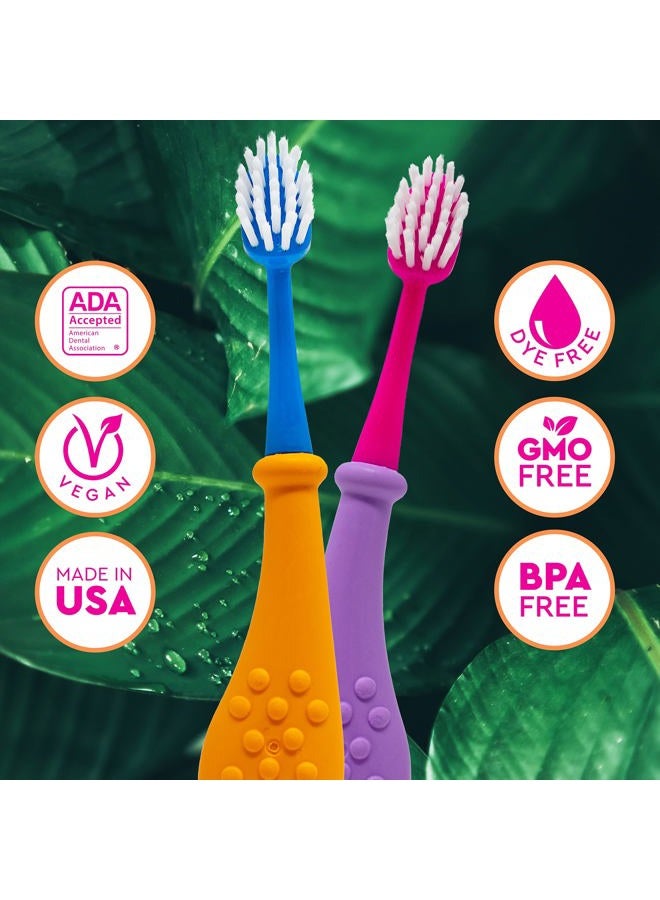 Radius Big Kidz Forever Brush Replacement Heads for Children, 6 Years and Up, BPA Free ADA Accepted for Growing Teeth and Gums, 2 Heads - Extra Soft  - Image 5