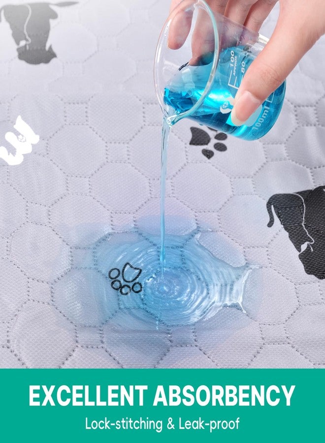 JollyMate 24"x36" Washable Pee Pads for Dogs, Ultra-Absorbent and Leak-Proof Reusable Pee Pads, Non-Slip Reusable Puppy Pads, Waterproof Dog Pee Pads, 2 Pack - Image 2