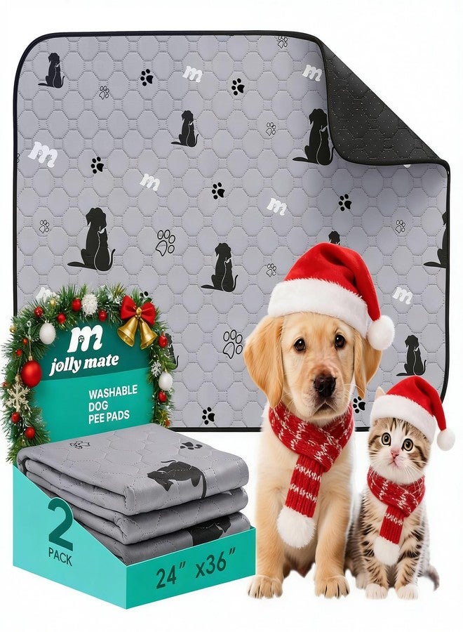 JollyMate 24"x36" Washable Pee Pads for Dogs, Ultra-Absorbent and Leak-Proof Reusable Pee Pads, Non-Slip Reusable Puppy Pads, Waterproof Dog Pee Pads, 2 Pack - Image 1
